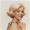 STERN, BERT (1929-2013) Portfolio entitled The Last Sitting,